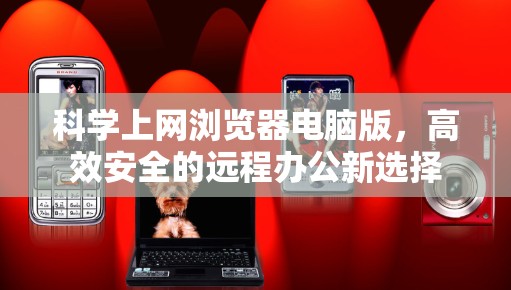 科学上网浏览器电脑版，高效安全的远程办公新选择