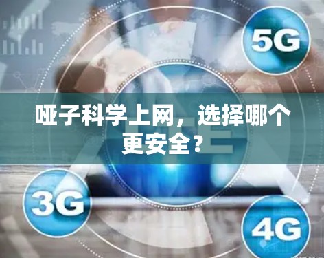 哑子科学上网，选择哪个更安全？