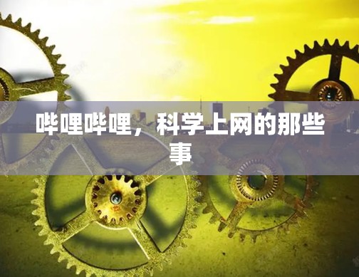 哔哩哔哩，科学上网的那些事