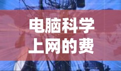 电脑科学上网的费用主要涵盖硬件、软件、网络、政府补贴、虚拟机环境、软件升级、数据存储、共享网络和服务器支持等多个方面。以下是对这些费用情况的详细分析