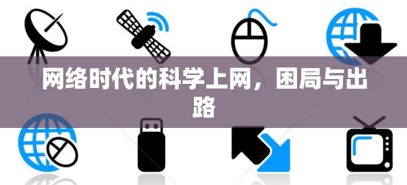 网络时代的科学上网,困局与出路 网络时代的科学上网,困局与出路
