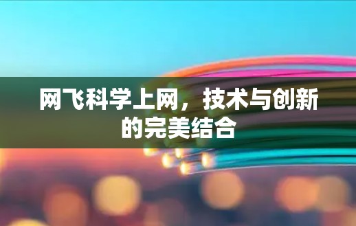 网飞科学上网,技术与创新的完美结合 网飞科学上网,技术与创新的完美结合