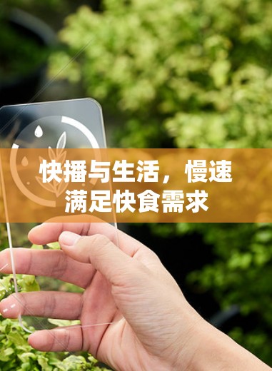 快播与生活,慢速满足快食需求 快播与生活,慢速满足快食需求