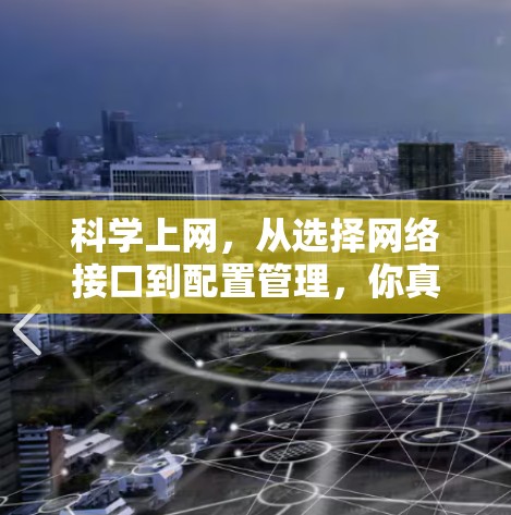 科学上网，从选择网络接口到配置管理，你真的掌握了吗？