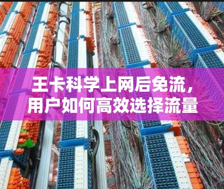 王卡科学上网后免流，用户如何高效选择流量控制方案