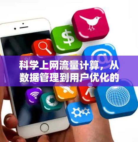 科学上网流量计算，从数据管理到用户优化的理论依据