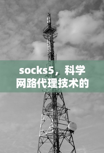 socks5,科学网路代理技术的最新进展 socks5,科学网路代理技术的最新进展