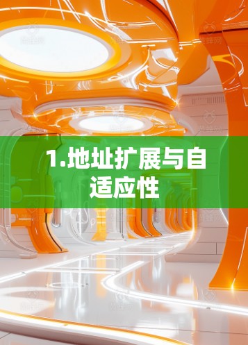 1.地址扩展与自适应性