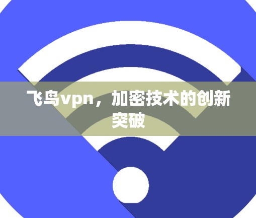飞鸟vpn,加密技术的创新突破 飞鸟vpn,加密技术的创新突破