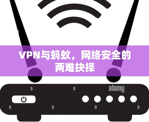 VPN与蚂蚁,网络安全的两难抉择 VPN与蚂蚁,网络安全的两难抉择