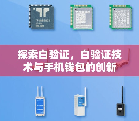 探索白验证,白验证技术与手机钱包的创新 探索白验证,白验证技术与手机钱包的创新