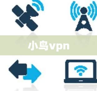 小鸟vpn