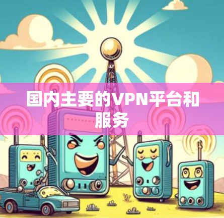 国内主要的VPN平台和服务 国内主要的VPN平台和服务