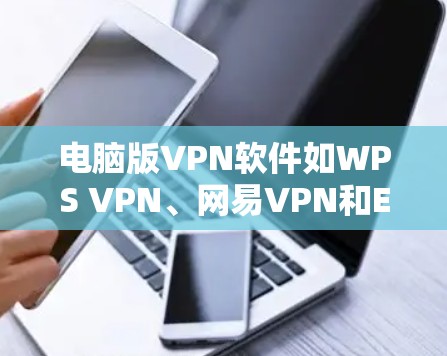 电脑版VPN软件如WPS VPN、网易VPN和Ease维普VPN等，以下是它们的详细介绍